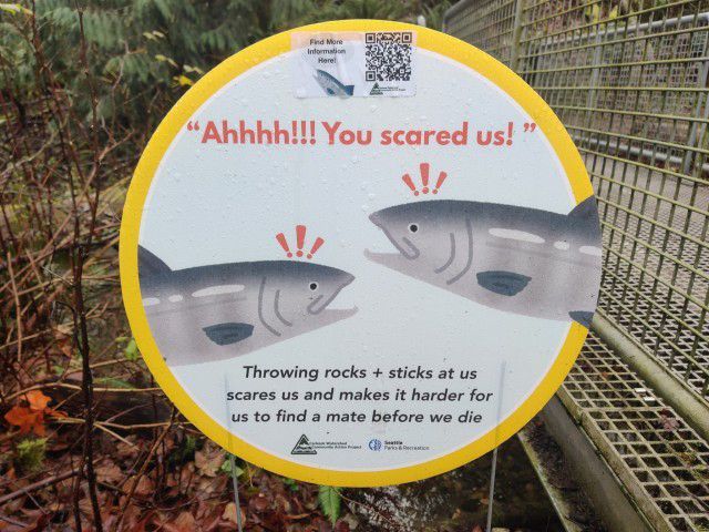 horse dentist tweet media