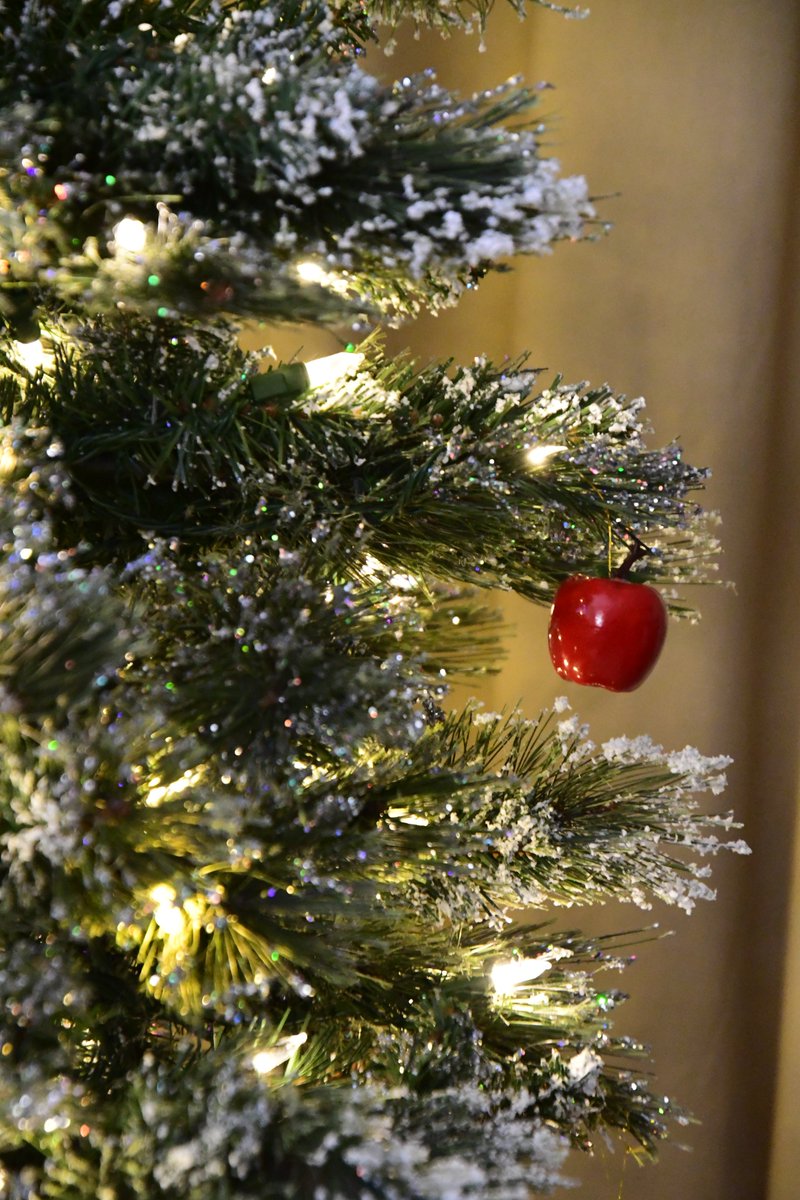 Leeds Recycles ♻️ tweet media