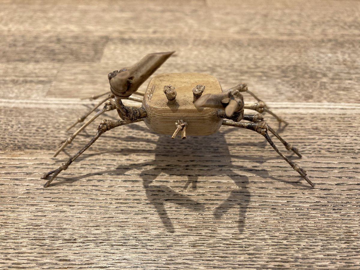 01asim1oa カニの竹細工ミュージアムはこちらですか？ #蟹グッズクラブ