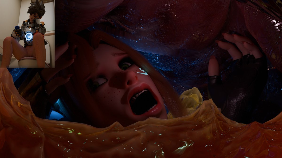 Signal-sunset2 tweet media