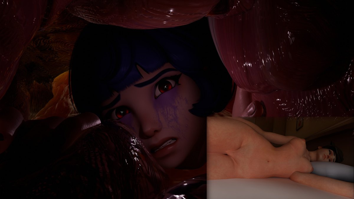 Signal-sunset2 tweet media