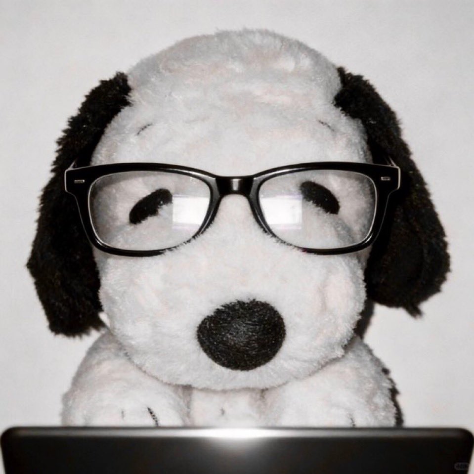 excedringirl's tweet image. 