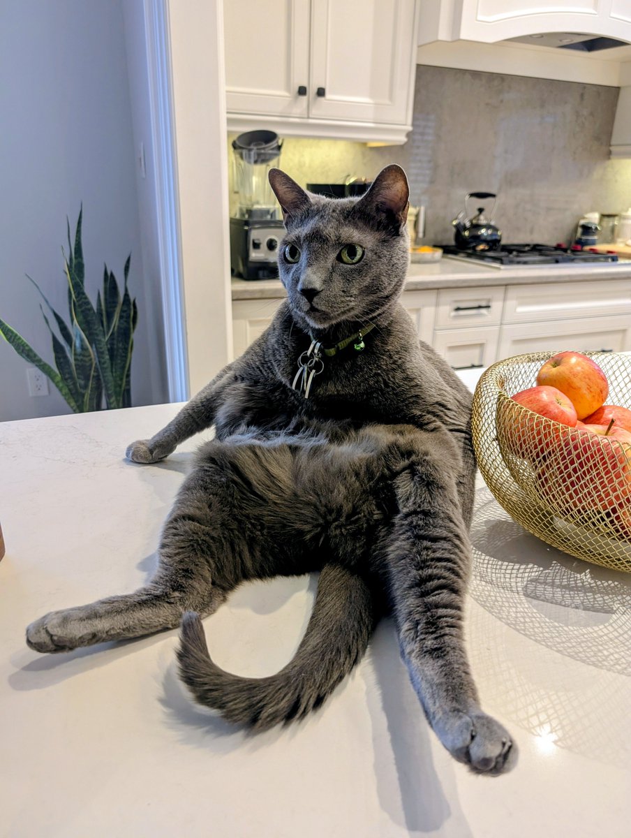 knowyourb's tweet image. Aura