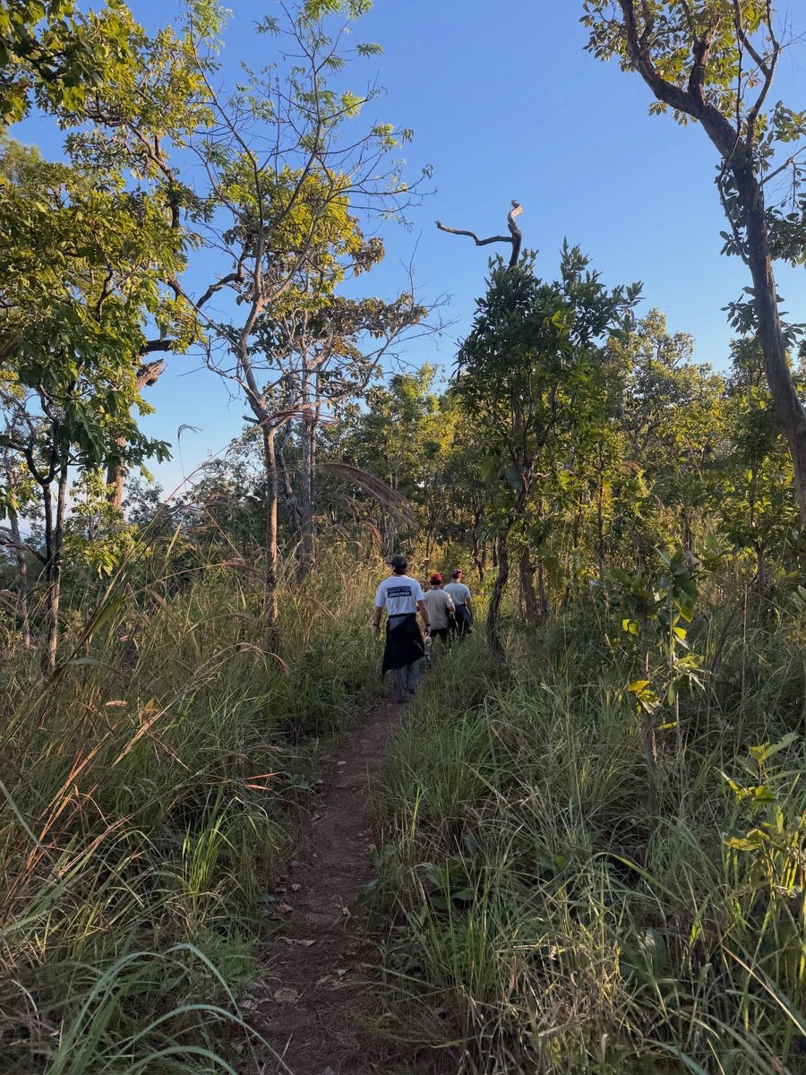 pkkmark's tweet image. 