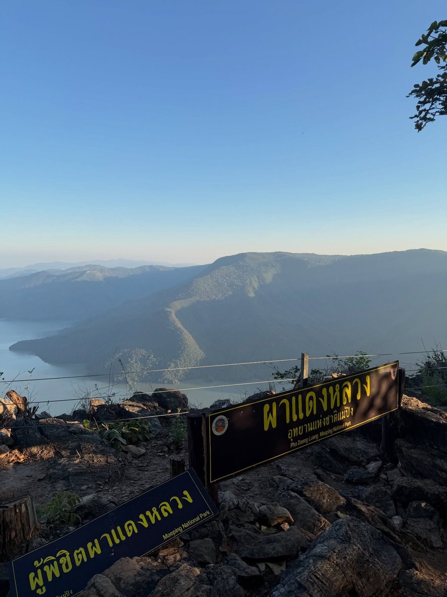 pkkmark's tweet image. 