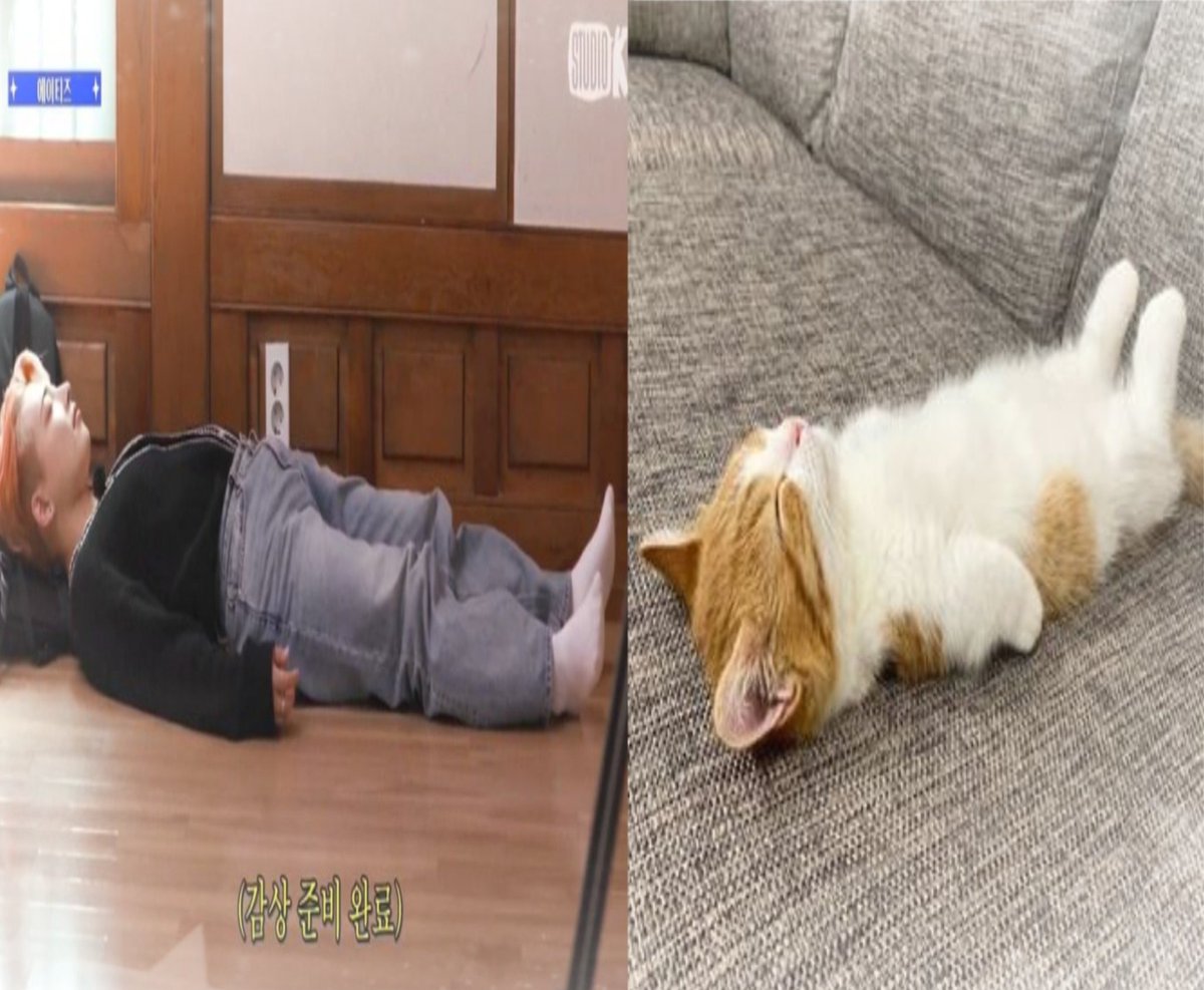 joongtz's tweet image. 💤