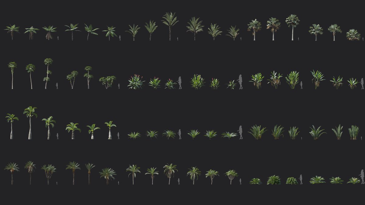 Maxtree tweet media
