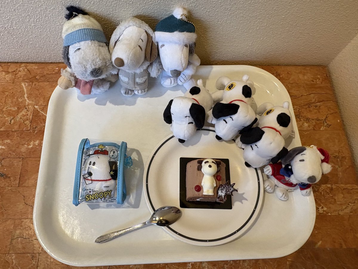 こうちゃん ✨ こうちゃん🐯 (@kouchan_3_24) | TikTok