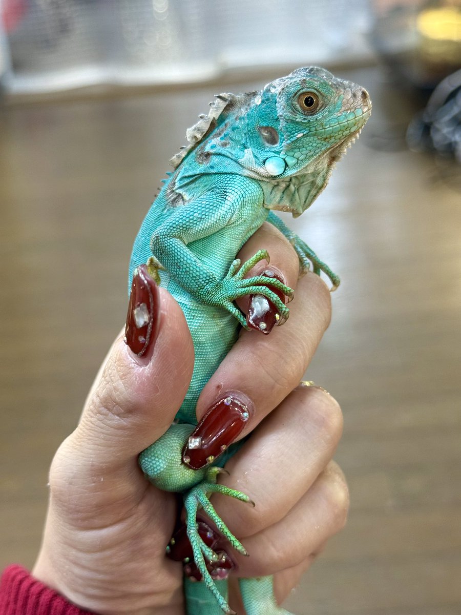 明日までSALEしてます😘 2階もセールをしているのでぜひ覗きに来て