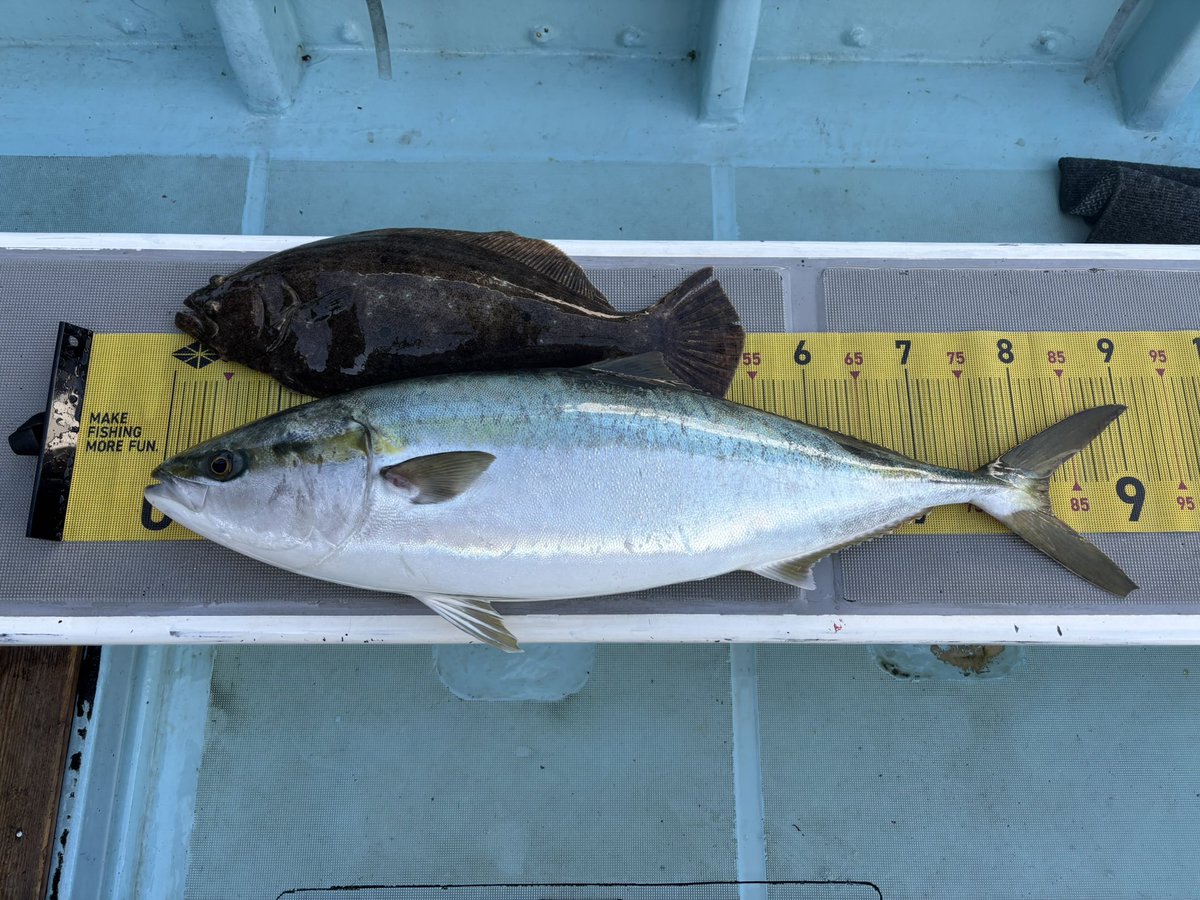 ほわいとべるさま確認ページ♡ Plasma (@PlasmaBlaze2514) / Posts and Replies / X