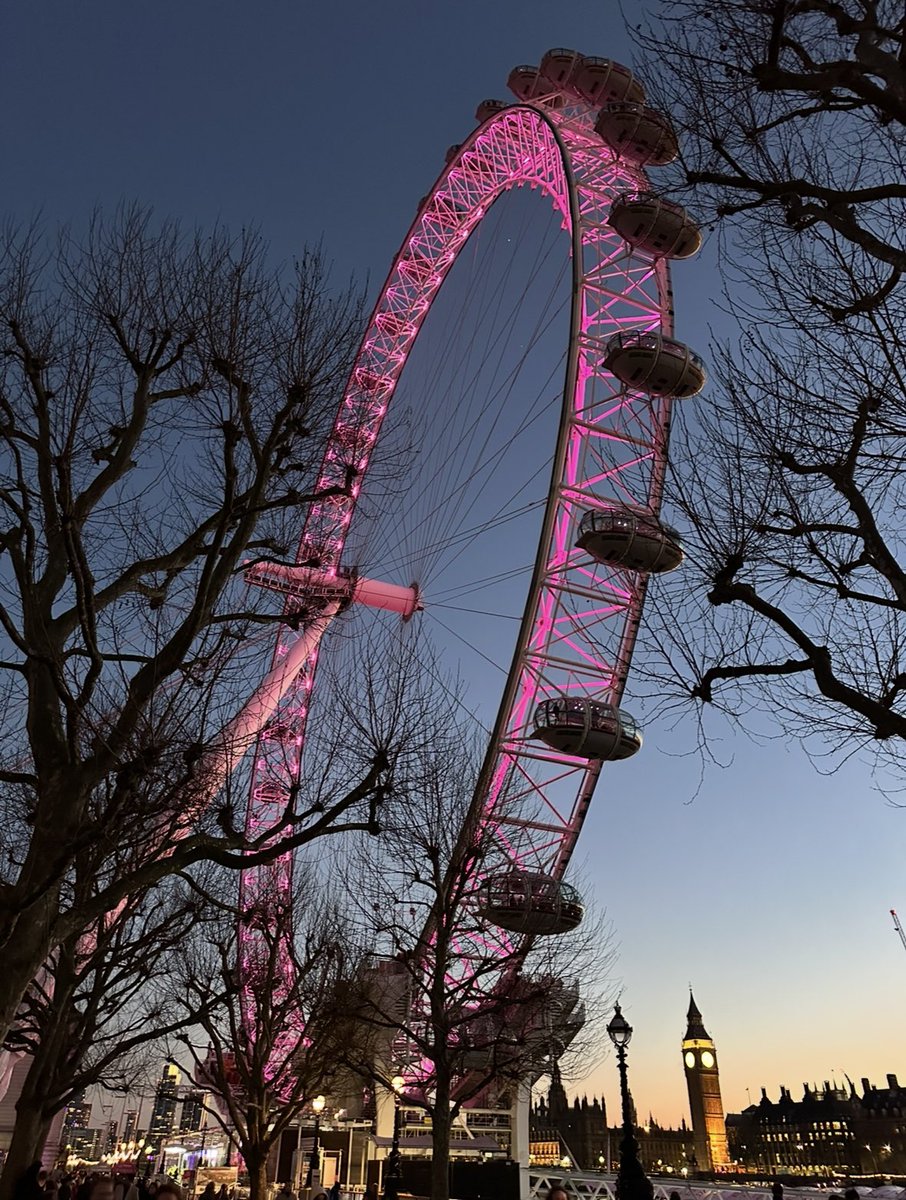 Meningioma Host tweet media