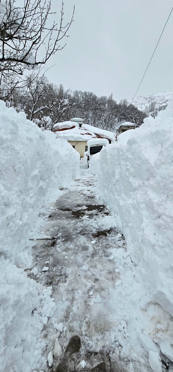 Berfa Kanûnê, hat rûnişt bi qanûnî.
#Şemdinli #Şemzîna #HAKKARİ 2026