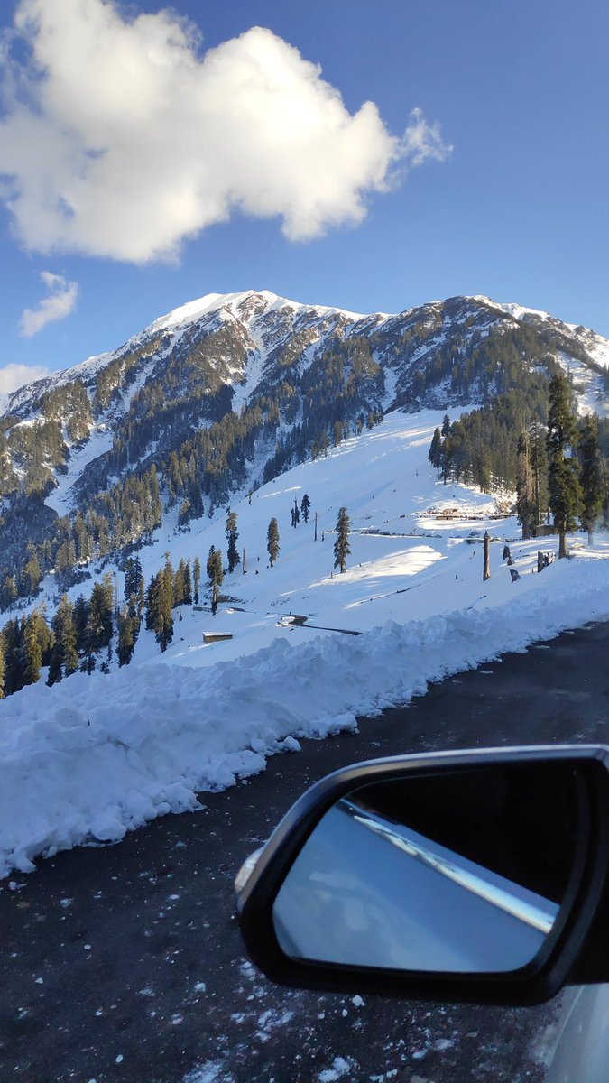 Snowber jamil tweet media