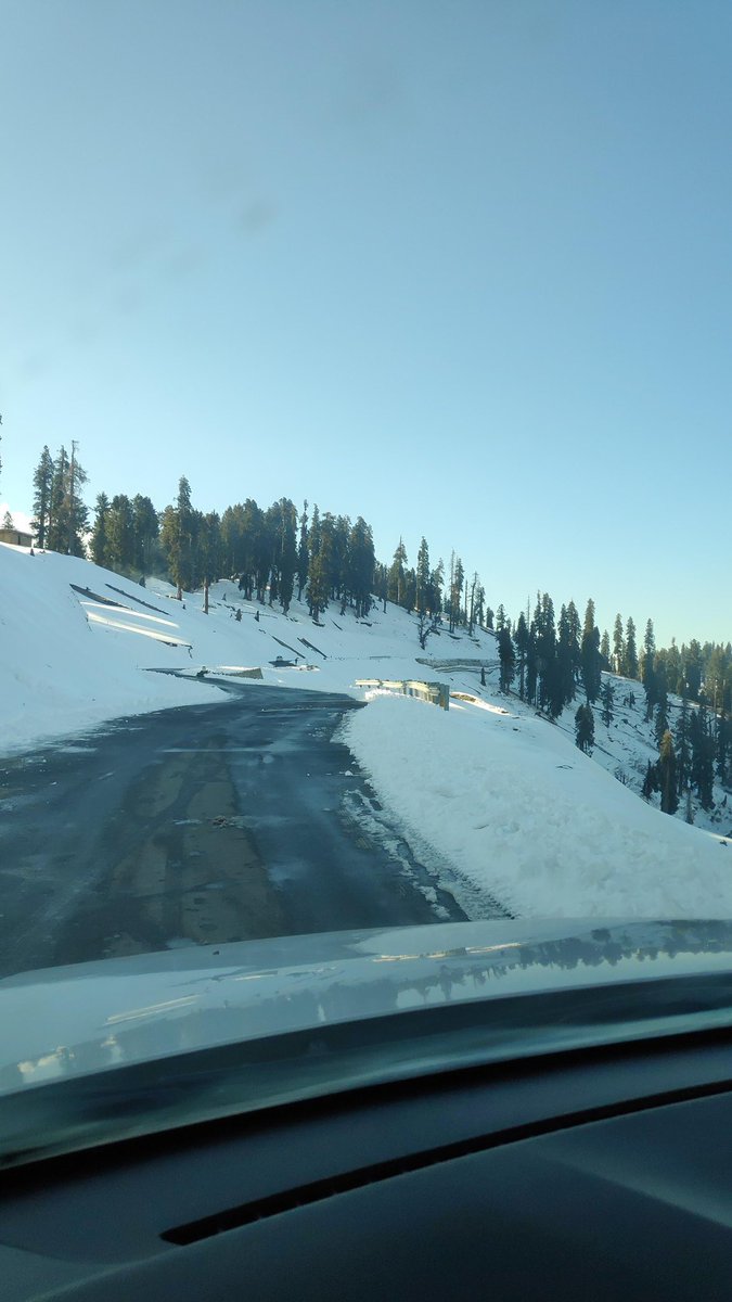 Snowber jamil tweet media