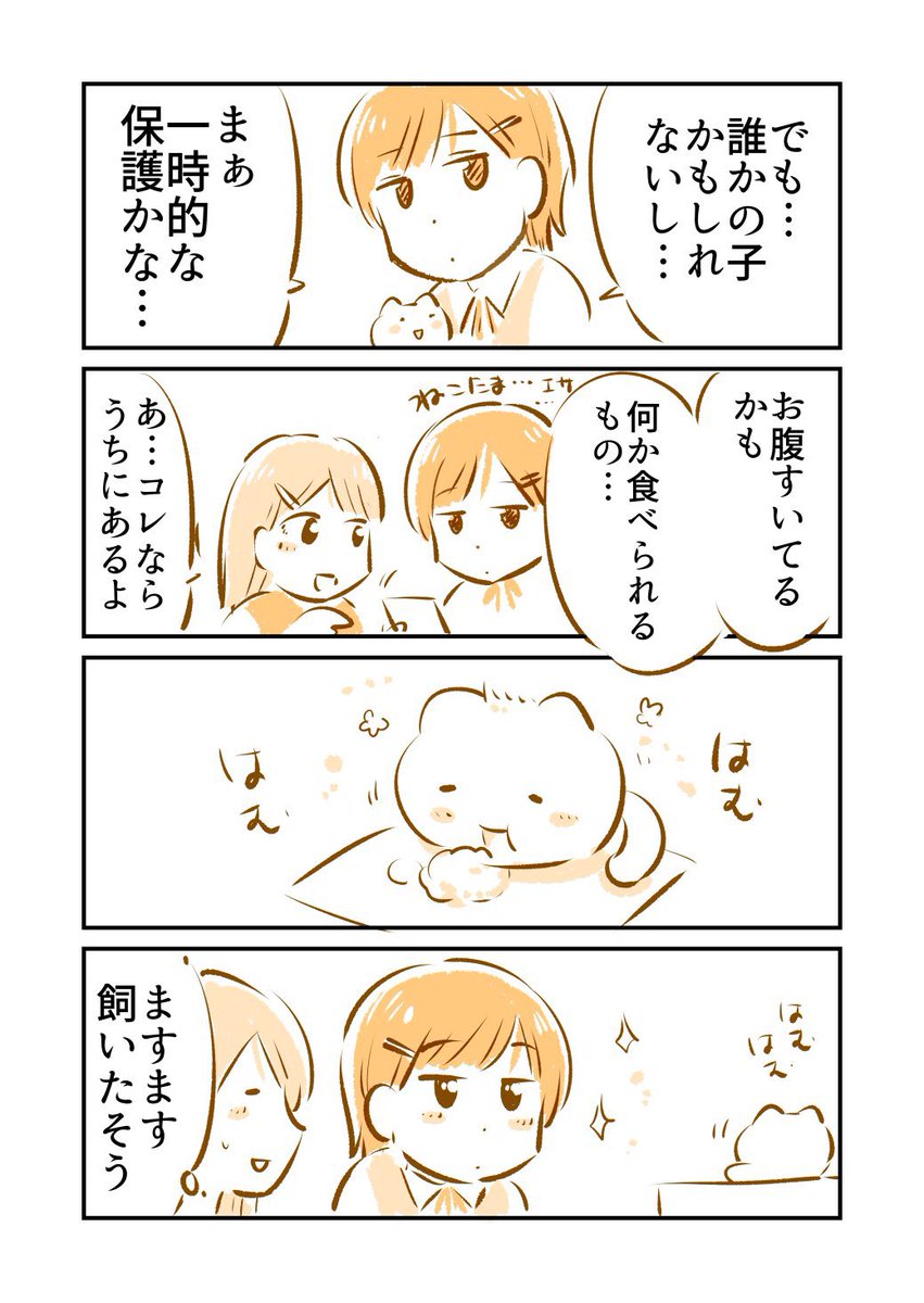 「ねこたま」のいる街(2/3) 