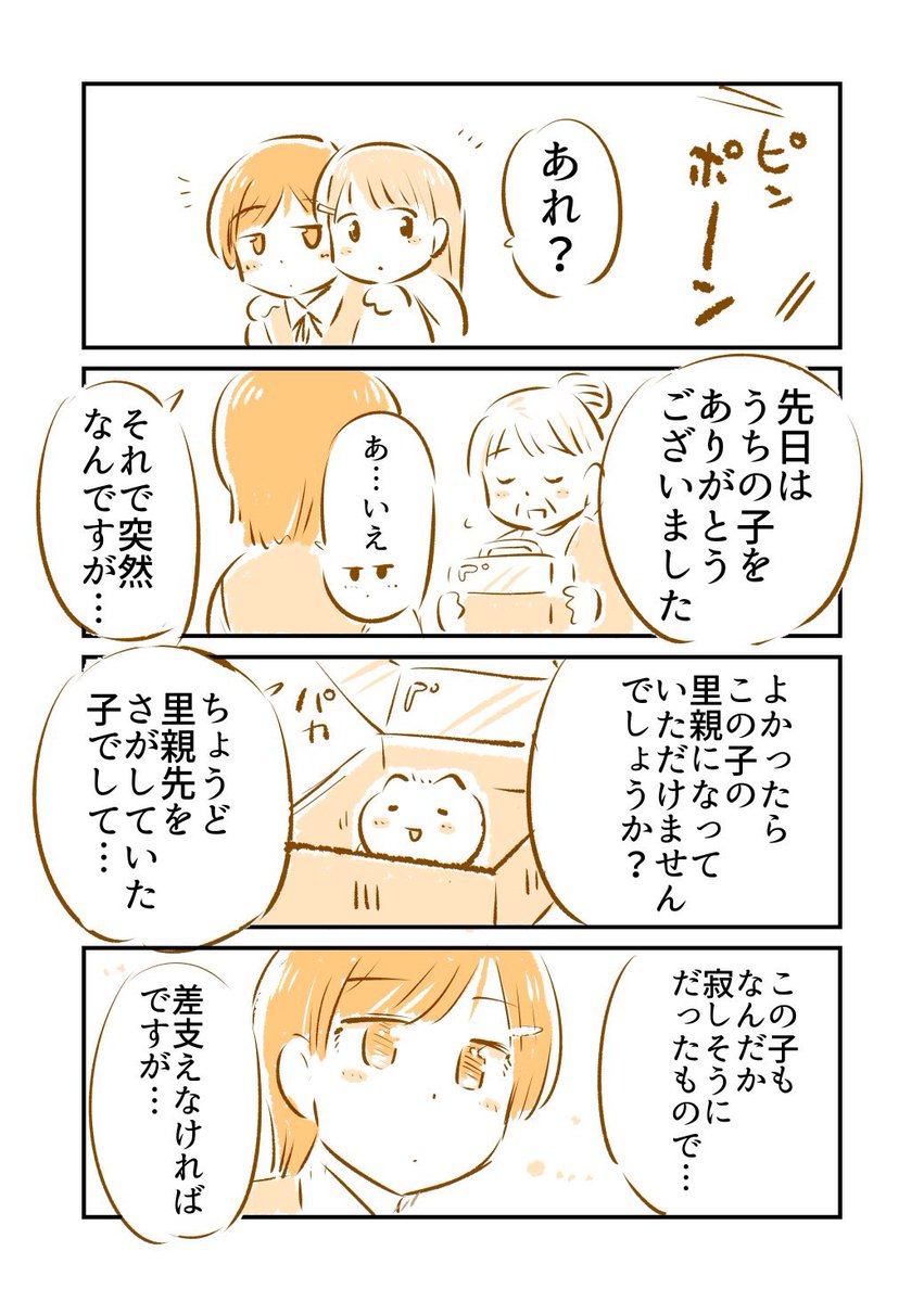 「ねこたま」のいる街(3/3) 