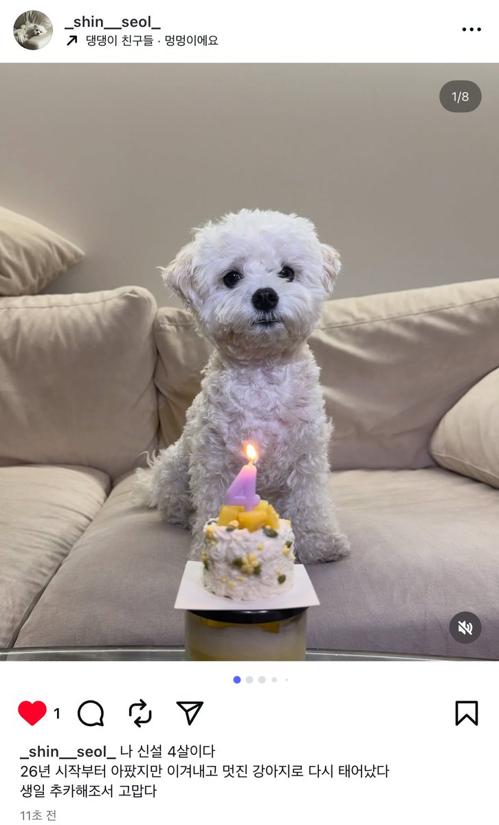 설아 생일 추카해~🥳
(하트 첫 번째로 눌러서 뭔가 기분 좋아,,