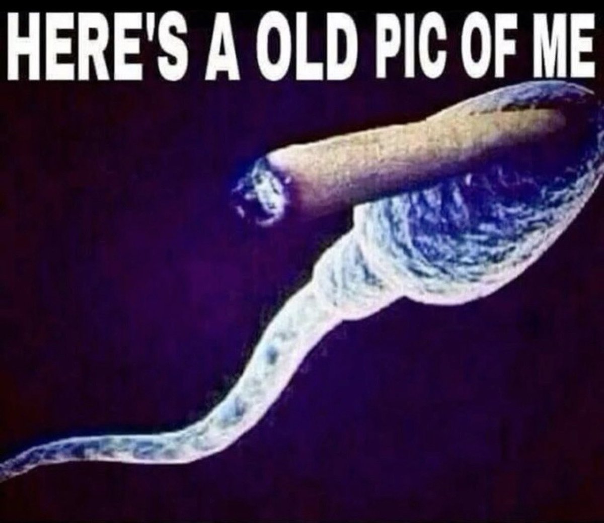 $B (@brendandagawd) on Twitter photo 