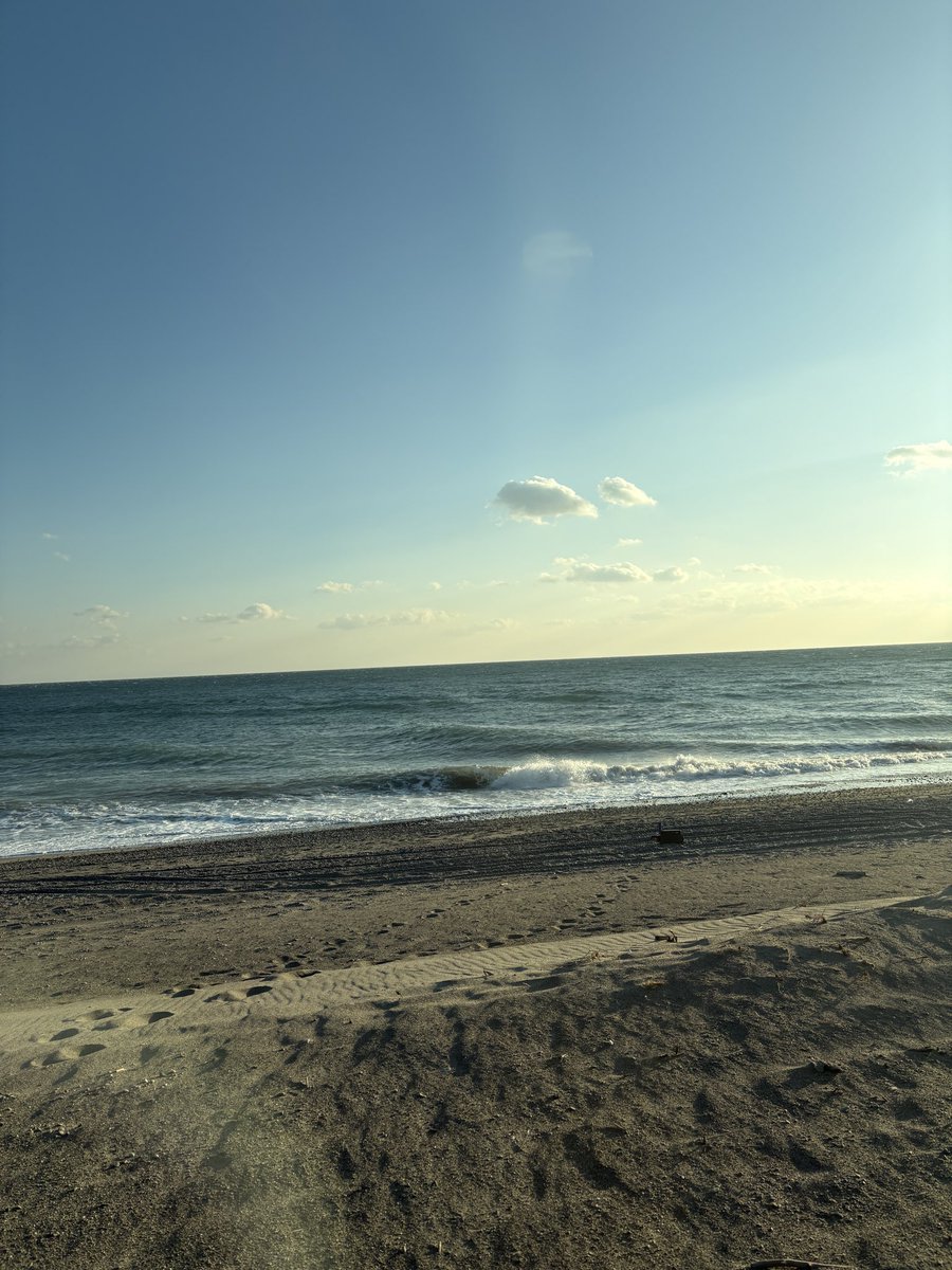 今年初サーフ来たけど爆風すぎてそのまま帰るまであるな、、、