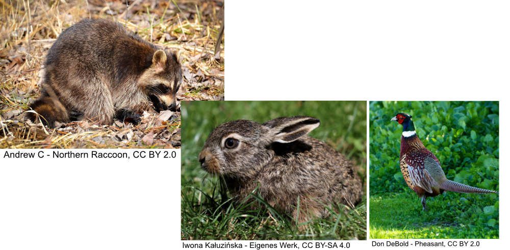 Heltec Automation tweet media