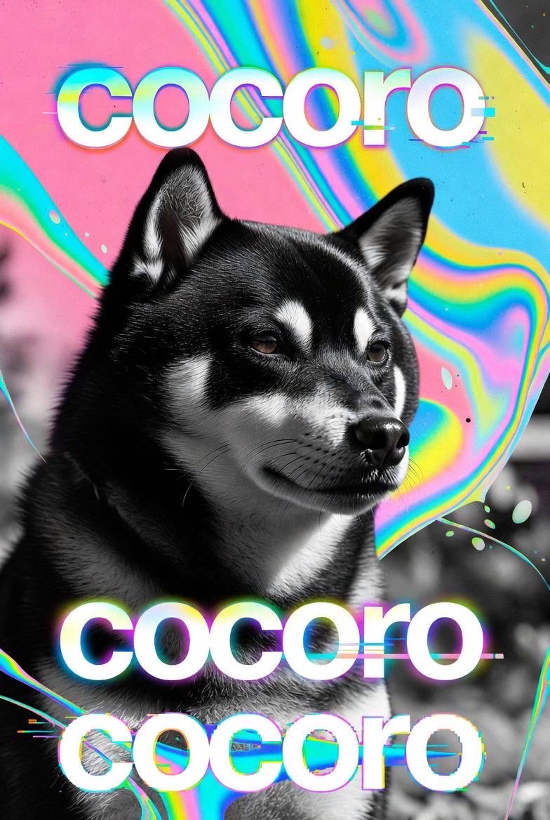 LowFat_Mayo's tweet photo. @tibor_1111 @HTX_Global Chillin.  Vibin.  The $COCORO way https://t.co/iX5470xYfw