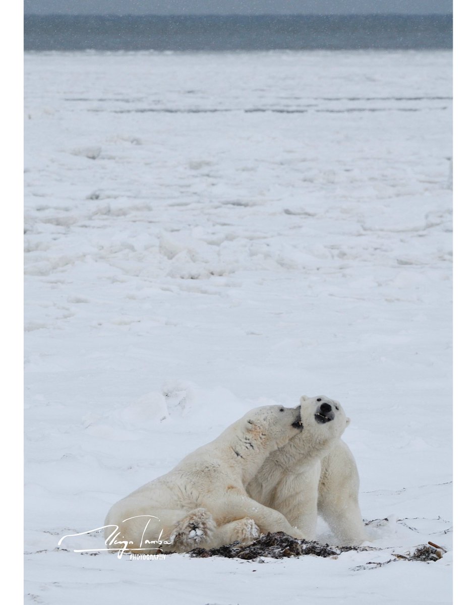 丹葉暁弥 / photographer (@AkiyaTamba) / Posts / X