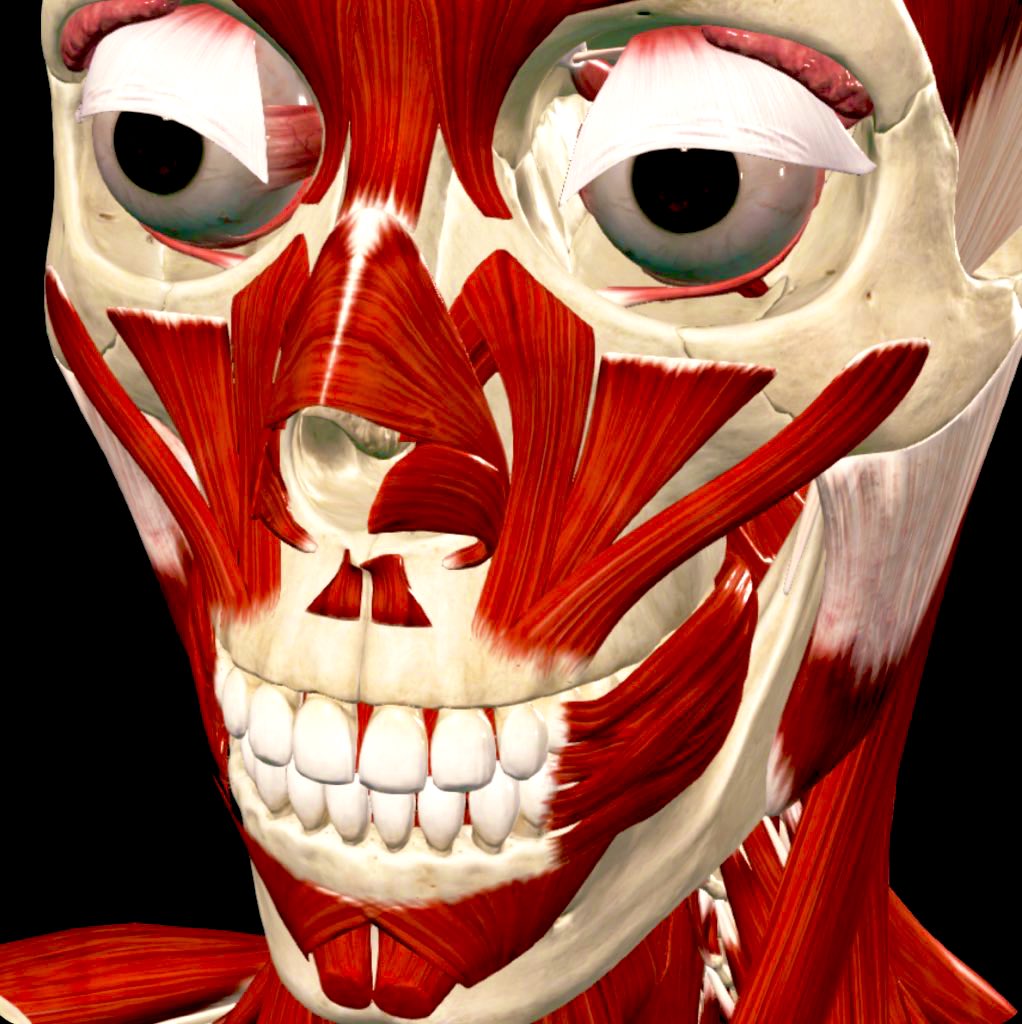 crxw 𓇼 tweet media