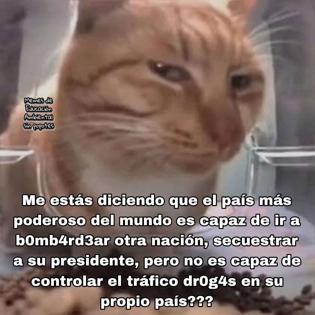 El crítico crítico ☭ tweet media