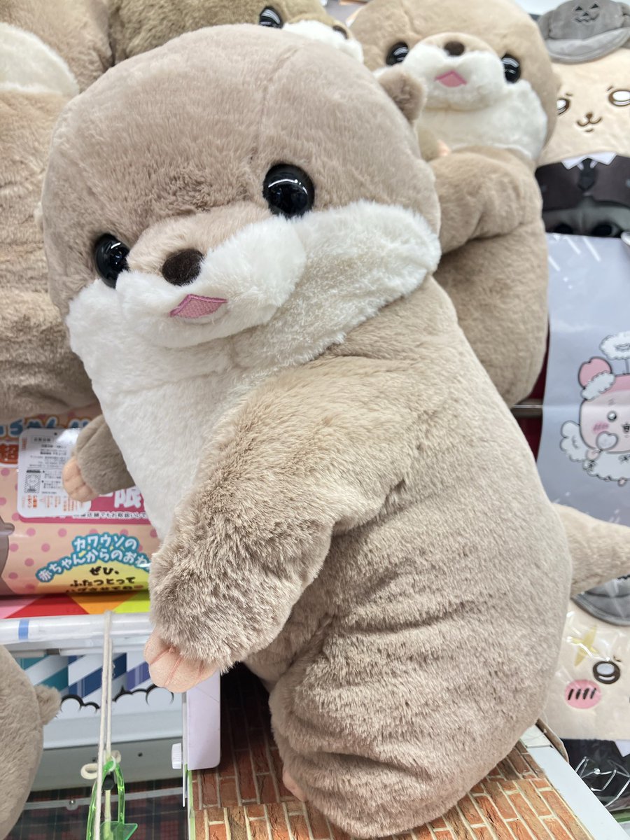 プライズ】 『くったり #カワウソ の赤ちゃんハグハグ超超ウルトラBIG