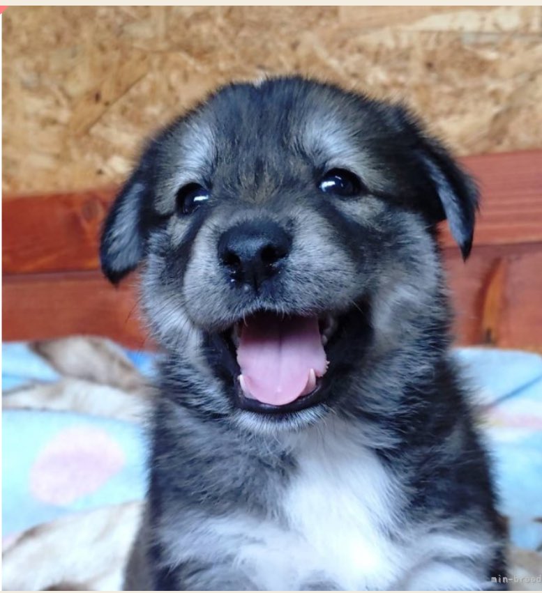 kyou@FZ750 (@kyouFz750) / Posts / X