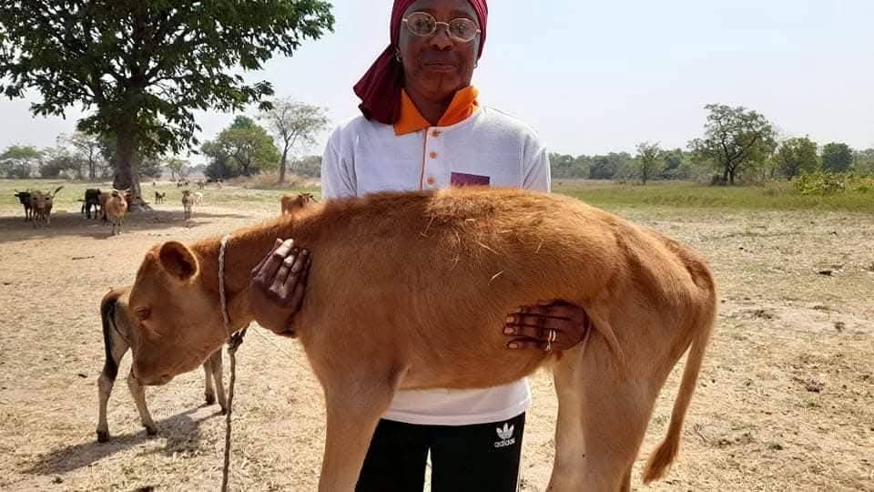 LiberiaAnimal's tweet image. Happy New Year 2026! The dry season in Guinea is affecting working animals—many suffer and die from lack of water. Your donation can give water, life, and hope. Please support @liberiaani
👉 liberiaanimalwelfaresociety.org 
#GiveWaterGiveLife #WorkingAnimals #DonateForAnimals