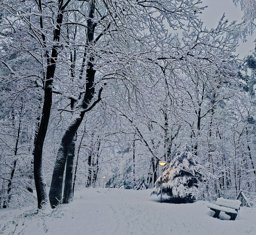 Maarten Molenaar tweet media