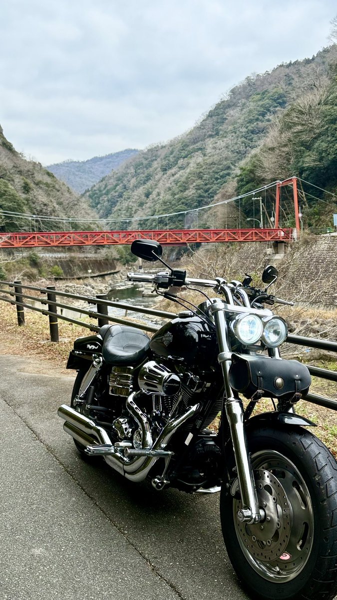 FXDF_FATBOB_BOB's tweet image. 快晴のち曇り空🌥️

初乗りは恒例の
野間の大けやきと
観音様からスタート🏍️💨
その後
路面凍結に気づかず
リヤタイヤ滑ったけど
何とか持ち直した…😌