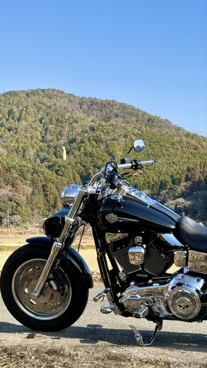 FXDF_FATBOB_BOB's tweet image. 快晴のち曇り空🌥️

初乗りは恒例の
野間の大けやきと
観音様からスタート🏍️💨
その後
路面凍結に気づかず
リヤタイヤ滑ったけど
何とか持ち直した…😌
