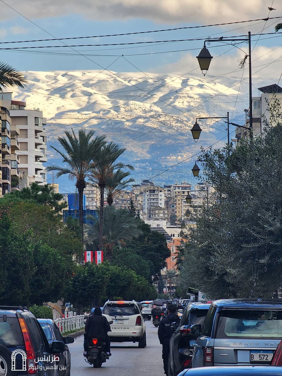 طرابلس…
مدينة بتشبه أهلها: تعب من تحت، وكرامة عالية متل جبالها ❄️🌴
بين زحمة الطرقات وثلج القمم، بتضلّ تقول إنو في جمال ما بينكسر، وأمل ما بيموت.