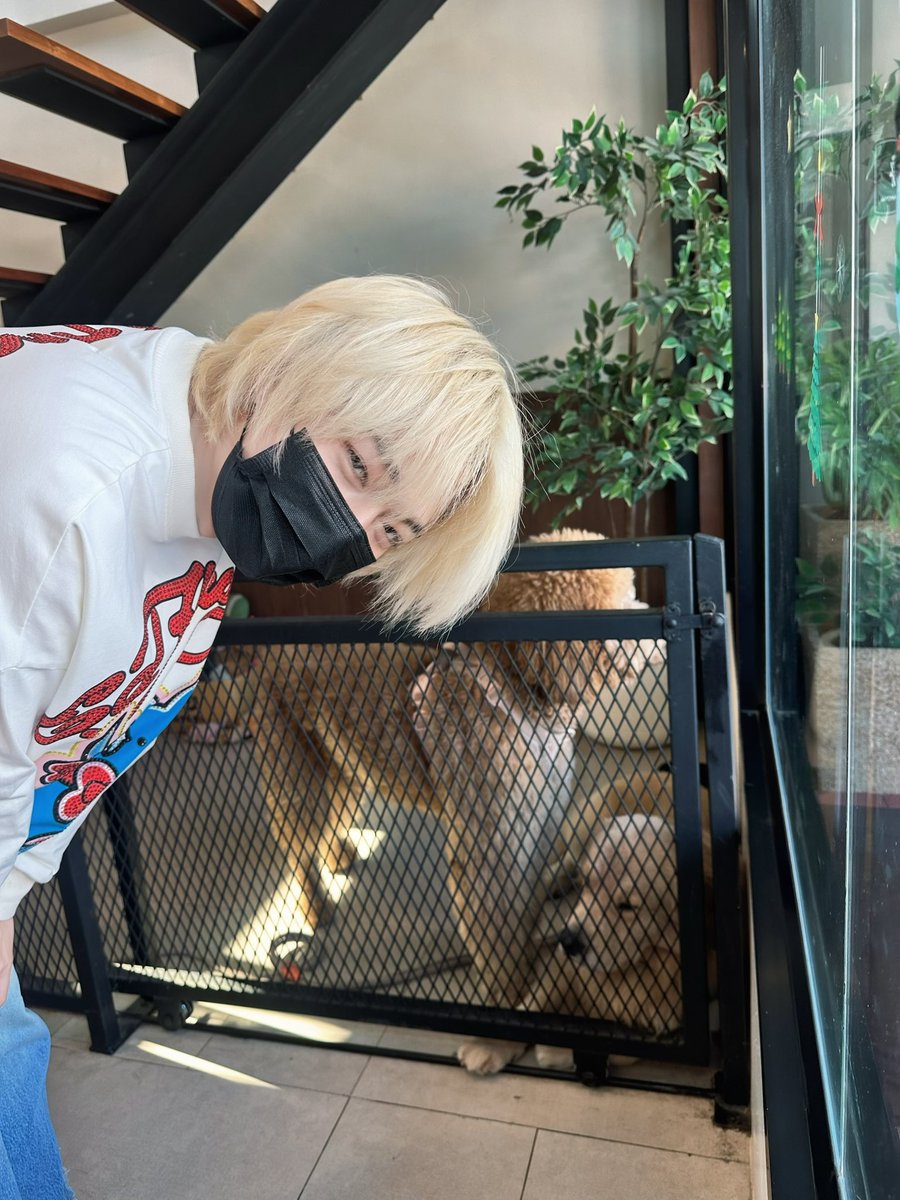 เชียงใหม่ทำปี๊ไข่เจ๋งนุ่มฟูขนาดนี้เลยน่ะ #Nunew