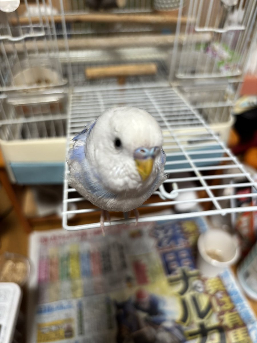 今日も一日お疲れ様でした🕊𓈒𓏸