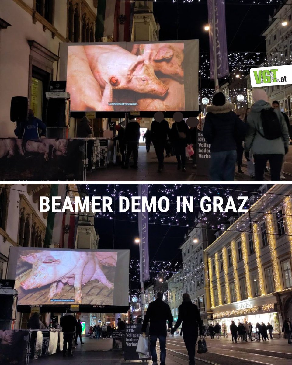 VGT - VEREIN GEGEN TIERFABRIKEN tweet media