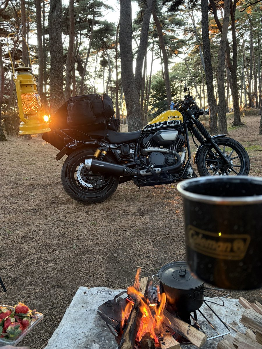 biroshing's tweet image. ここをキャンプ地とする！
皆さんお疲れ様です。今年もいい年でありますように！
乾杯！