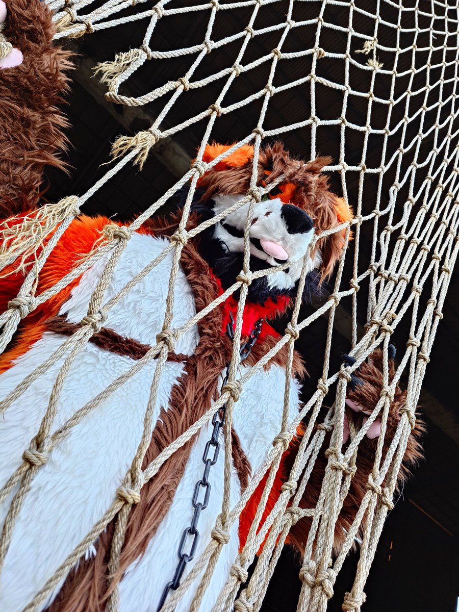 シオン(SHION)@焔 志苑🔜？？？ (@SION262GURAENA) / Posts / X