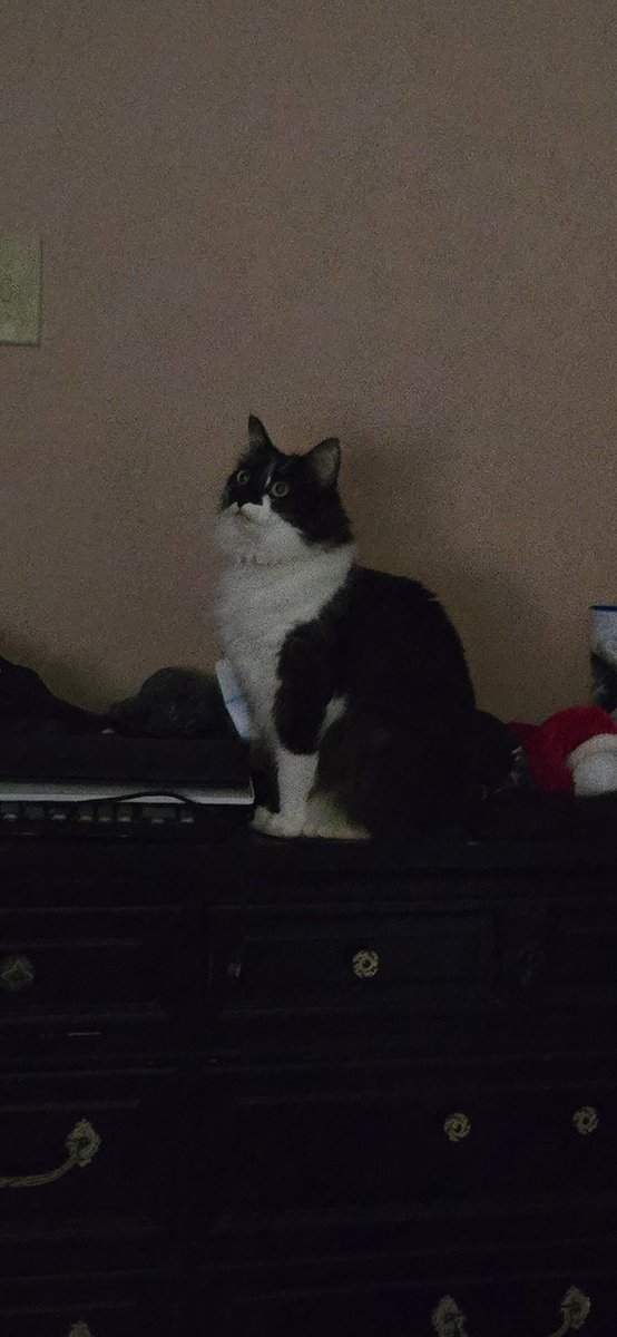 Colin Steitz tweet media