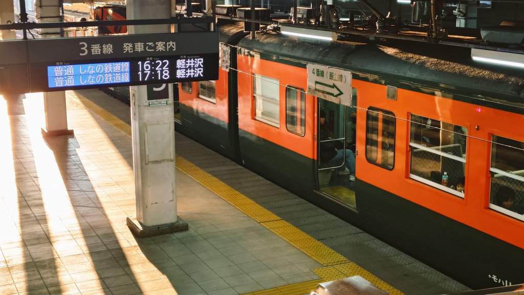 善光寺参り
長野軌道乗車
115系の旅