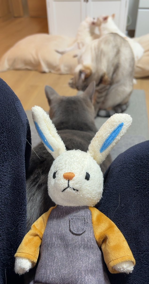 酒井駒子さんの絵本「ぼく おかあさんのこと」のうさぎのぬいぐるみが