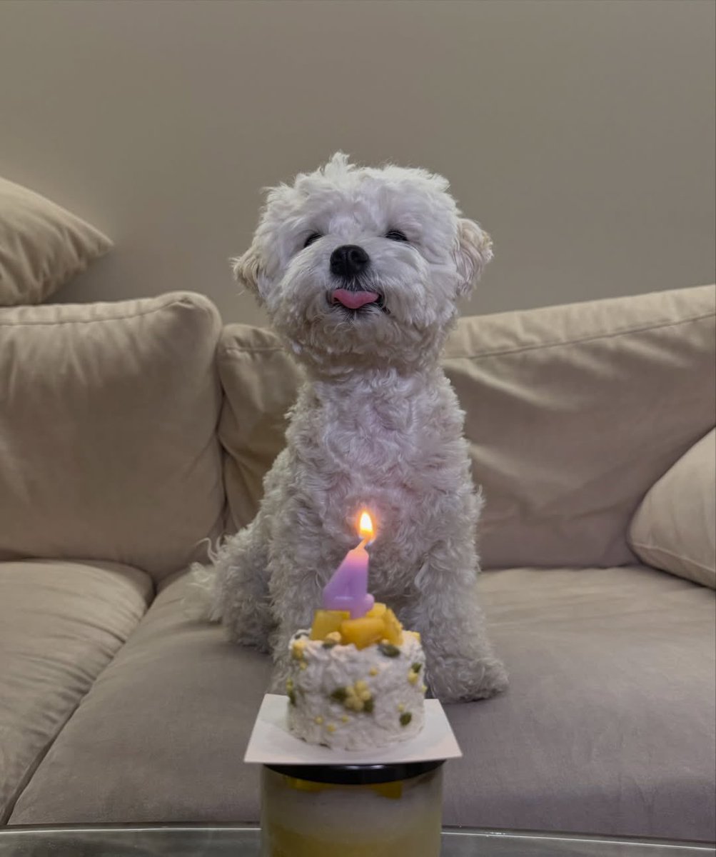 설이 뭔가 늠름하게 나왔다
멋진 가나디 새해부터 액땜했으니까 건강하자