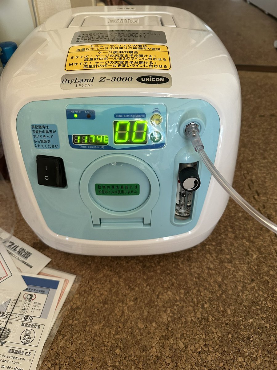 nicoちゃん (@nicocyan0117) / Posts / X