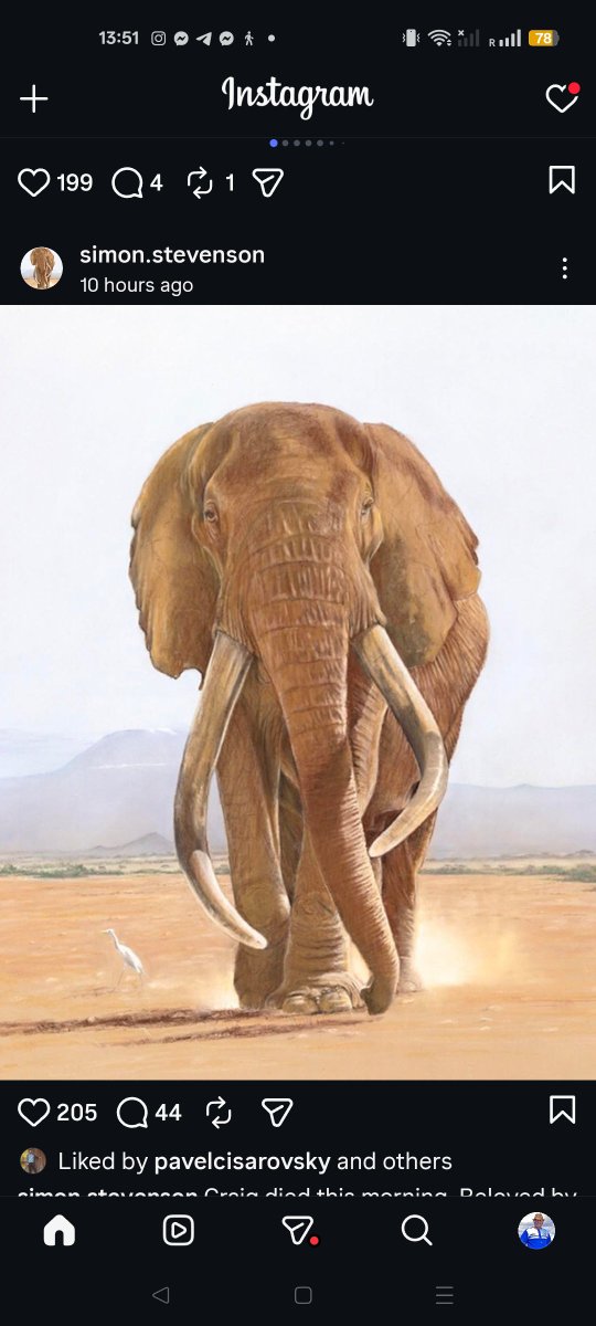 Jim Justus Nyamu,Cde',OGW 🐘🐘 tweet media