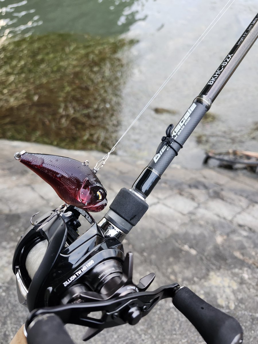 setagawabass's tweet image. いせやんさん(@zunoko )の元旦フィッシュに触発され、瀬田川へ、まさかの初バスでした☺ありがとう。タダ巻きで、沖のウィード帯でヒットでした。ギガノトの同じカラー追加で買いたいのですが、もうあまり売ってませんかね？　#瀬田川　#ギガノト　#ブラックスケールディスタンスエディション