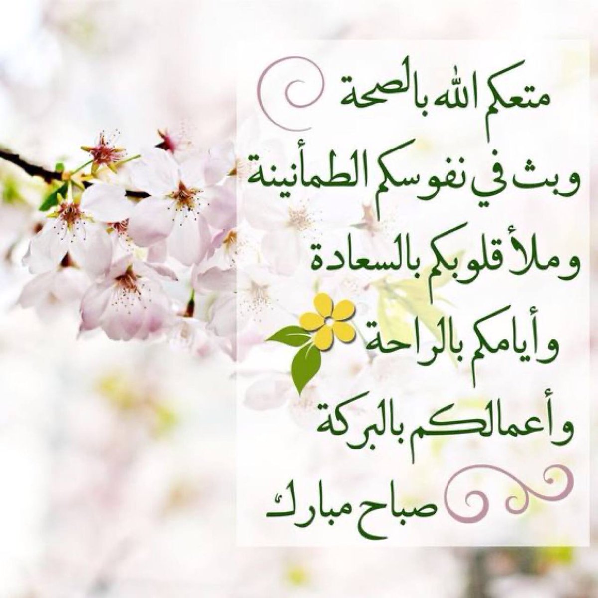 الادهم🤍 التم لنفس الحساب فقط tweet media