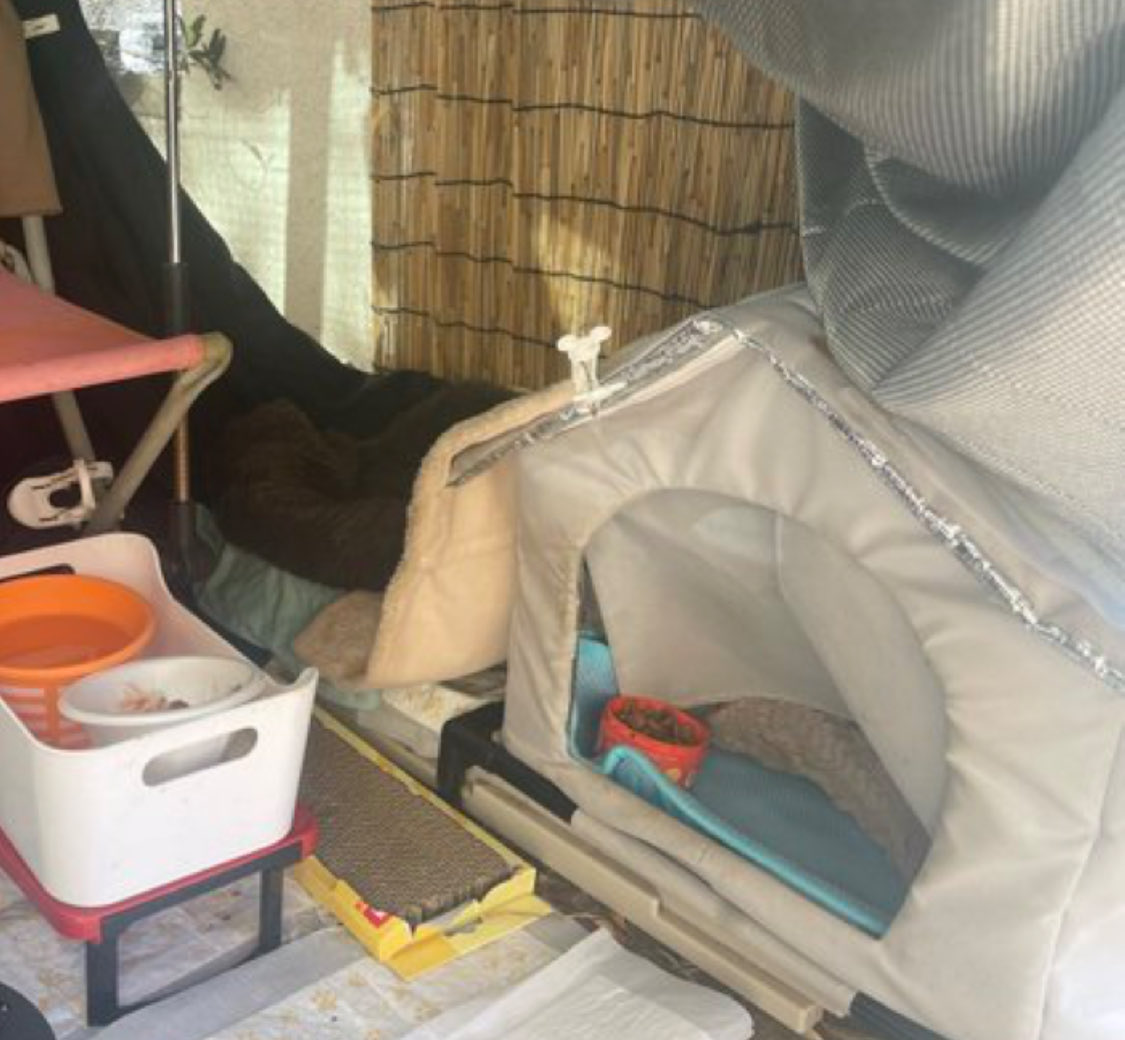 おった tweet media