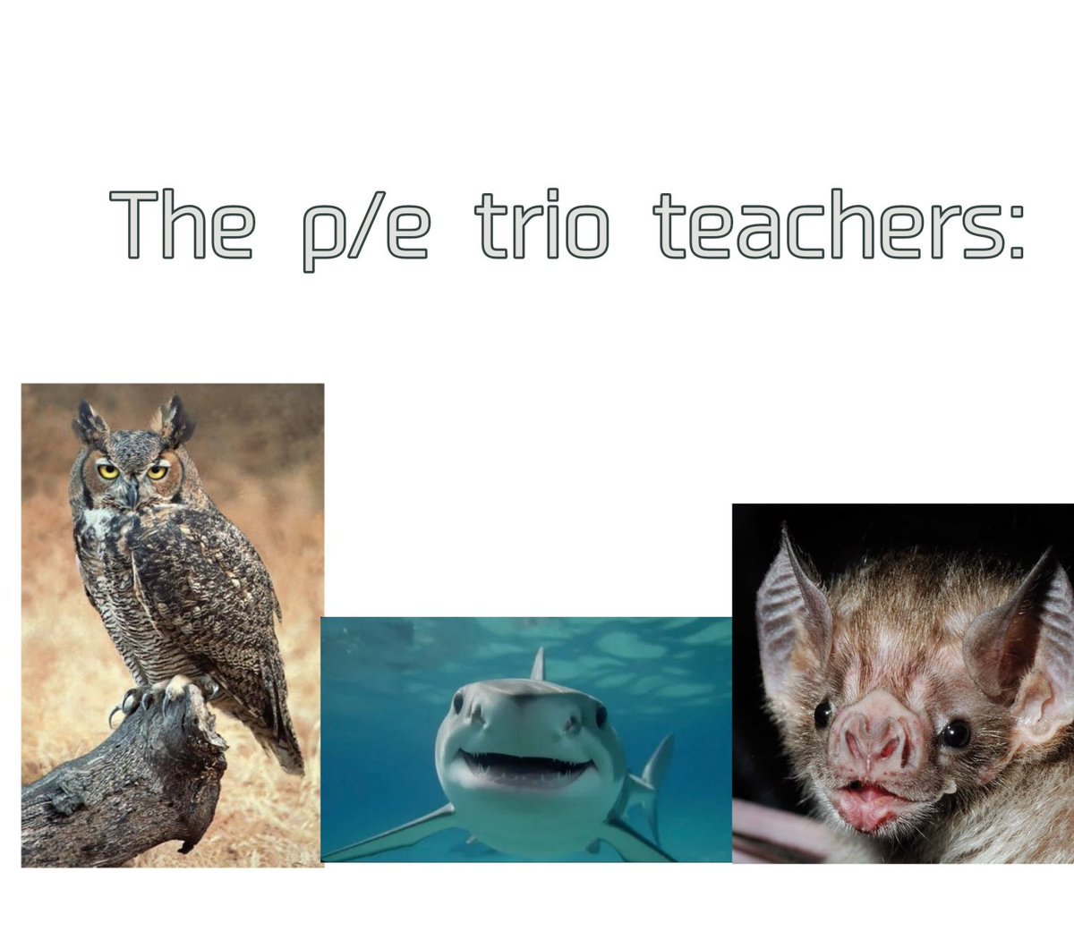 The P/E trio teachers!! (reposting deper's draw)

#fpe #fpeoc #fundamentalpapereducationoc